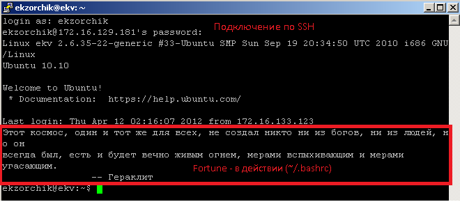 Результат подключения к серверу по ssh.