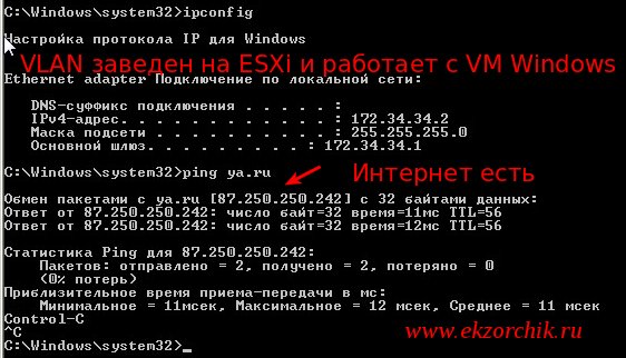 Vlan заведен на ESXi 5.5