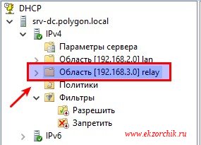 Область в которую будет проброшен DHCP сервис