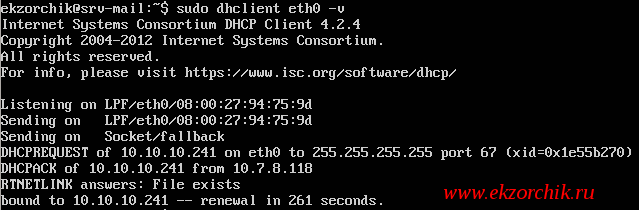 Запрашиваю DHCP адрес у сервиса Mikrotik и я его успешно получаю