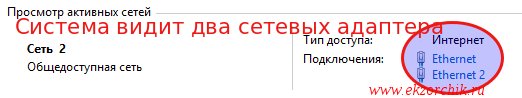 Система видим два сетевых адаптера