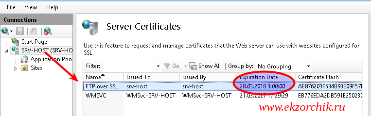 Для FTP сервиса создан самоподписанный сертификат на 1 год