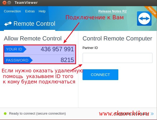 Основное окно запущенного приложения TeamViewer 13