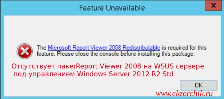 Не установлен Report Viewer на WSUS сервере