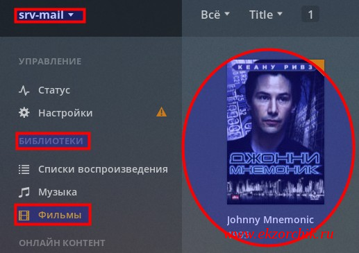 Добавленный фильм в библиотеку фильмов PLEX