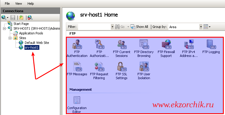 FTP ресурс на IIS с необходимыми апплетами управления