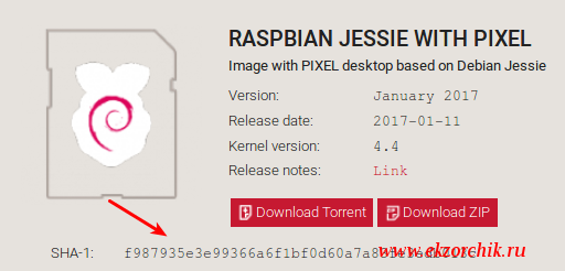 Скачиваю с официального сайта дистрибутив Raspbian