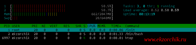 Утилита htop запущенная внутри Windows 10