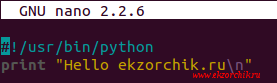 Подсветка синтаксиса python скрипта через текстовый редактор nano