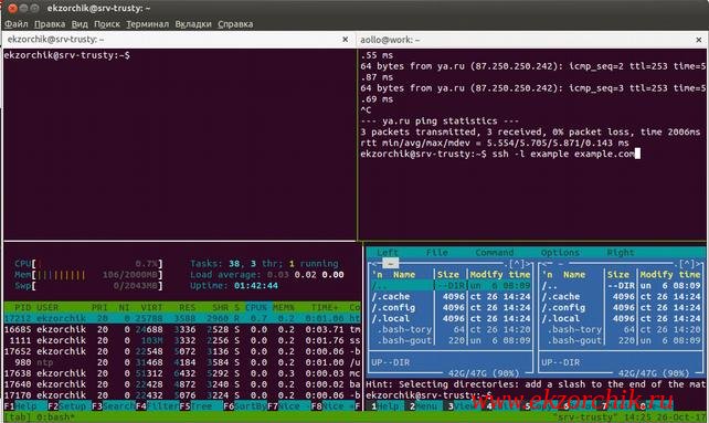 Пример разделения окна через Tmux