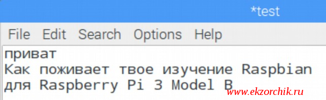 Raspbian вводит видит читает русский язык