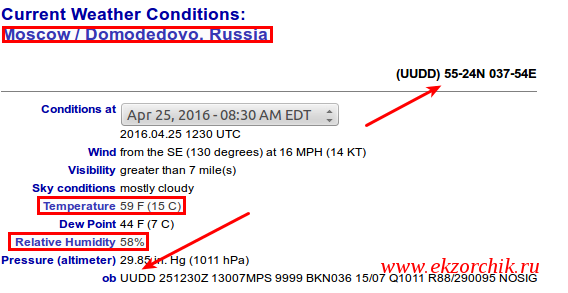 Информация полученная от метеостанции аэропорта "Домодедово"