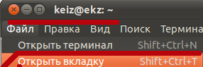 Открываем новую вкладку "Терминала" по сочетанию клавиш Ctrl + Shift + T.