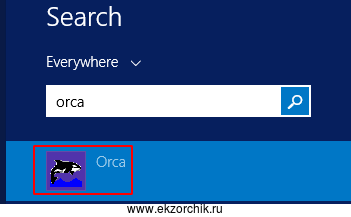 Запускаю приложение Orca