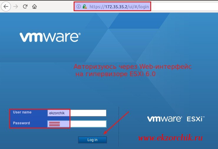 Авторизуюсь через браузер на ESXi 6.0 гипервизоре