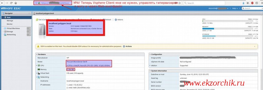 Так выглядит Web-интерфейс гипервизора ESXi 6.0 на моем домашнем HP MicroServer Gen8