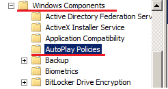Изменяем параметры в пункте AutoPlay Policies.