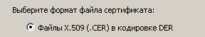 Указываем в какой формат экспортировать сертификат.