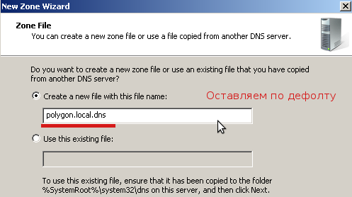 На этапе Файл зоны оставляем все по дефолту.