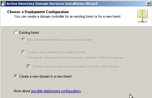 Тип конфигурации создание нового домена в новом лесу.