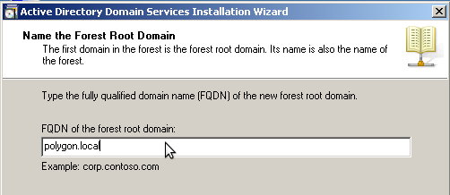 Укажем имя корневого домена леса, аналогичное имени домена DNS – polygon.local 