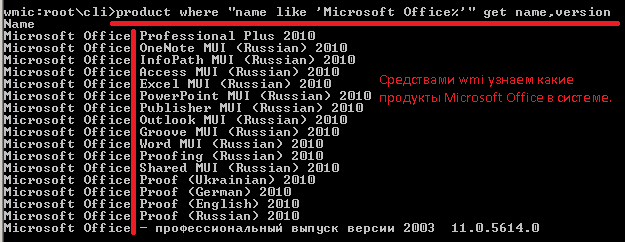 Обзор установленных пакетов Microsoft Office в системе.