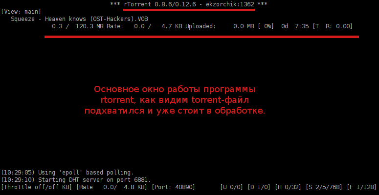 Основное окно работы с консольным клиентом rtorrent.
