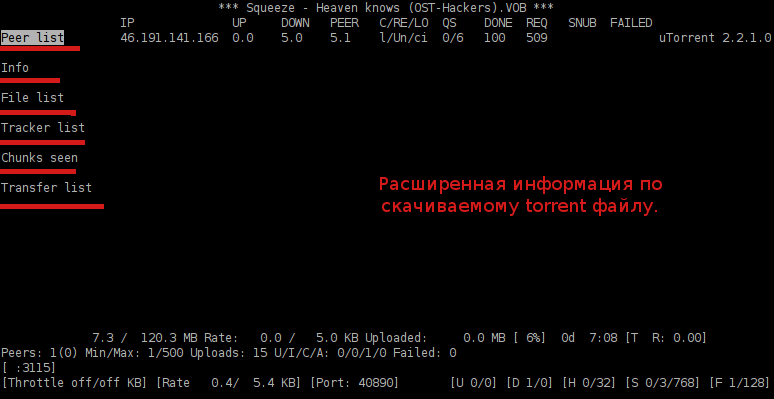Предоставление расширенной информации по скачиваемому Torrent'у.
