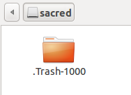 Скрытый каталог .Trash-1000 содержащий удаленные файлы.
