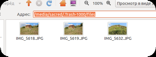 Переходим в скрытый каталог и по пути .Trash-1000/files и находим свои файлы и перемещаем их на SD карточку.