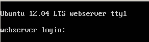 Запущенная консоль входа на Ubuntu 12.04 Server