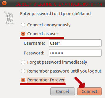 Вводим аутентификационные данные для подключения к FTP.