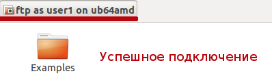 Успешное подключение к FTP сервису.