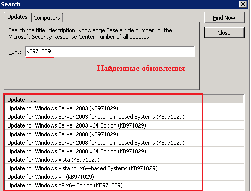 Вводим имя обновления (KB971029) 
