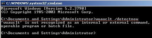 Отсутствие исполняемого файла wuauclt в каталоге c:\windows\system32