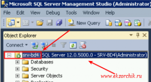 Я успешно авторизовался в SQL Management Studio с новым именем системы