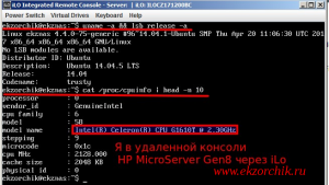 Работа с апплетом iLo-jirc.jnlp на Windows 7 настроена