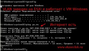 Vlan заведен на ESXi 5.5