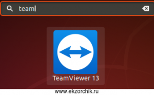 Запускаю приложение TeamViewer 13 в среде Ubuntu 18.04 Desktop