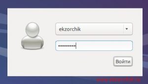 Авторизуюсь в Lubuntu Desktop