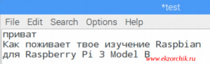 Raspbian вводит видит читает русский язык