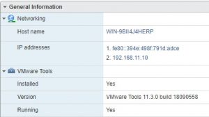 Теперь с хоста ESXi 7 вижу IP адрес виртуальной машины и статус запущенных VMware Tools.