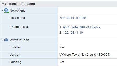 Теперь с хоста ESXi 7 вижу IP адрес виртуальной машины и статус запущенных VMware Tools.