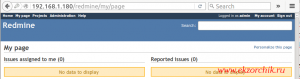 Авторизовавшись в Redmine я у административном окружении