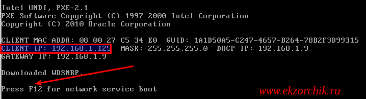 Виртуальная машина определила WDS сервер и чтобы начать установку Windows систему нужно подтверждение нажатием клавиши F12