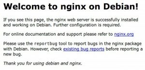 Дефолная страница nginx установленная на Raspbian