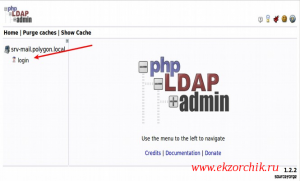 Развернутый LDAP сервер