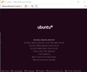 Запускаю созданную VM, выбираю Install Ubuntu Server