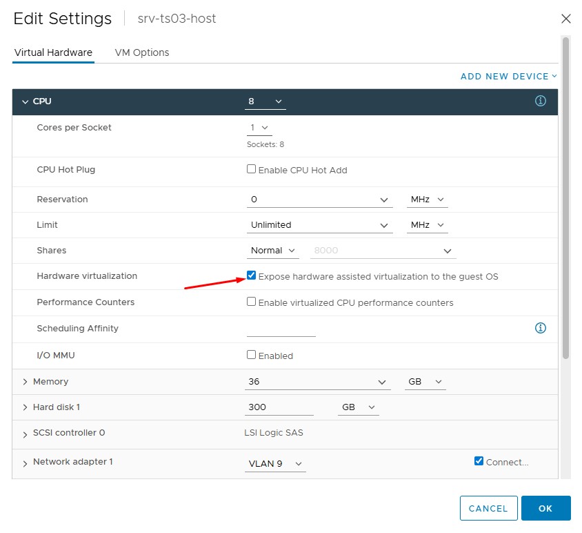 Отмечаю галочкой в свойствах VM параметр по части CPU: Expose hardware assisted virtualization to the guest OS