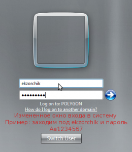 Пример окна входа в систему WIndows Server 2008 R2 Core.